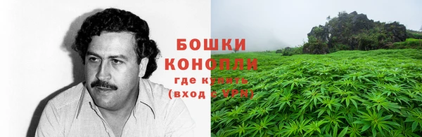 мдпв Сосновка