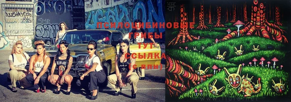 каннабис Баксан