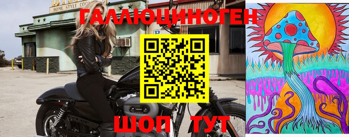 Кувандык  Псилоцибиновые грибы мухоморы  Вход с VPN 