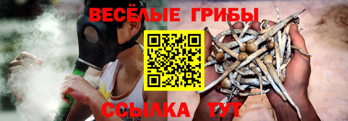 Галлюциногенные грибы прущие грибы Кувандык